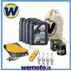 LIQUI MOLY+Vari Kit tagliando Olio LIQUI MOLY filtri candele per Moto Kawasaki ZX6R 1995 1997