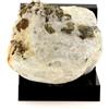 A Bijoux Pietre E Minéraux. Pirite + Dolomite 1285.0 Ct. Trimouns Talco Mine, Ariège
