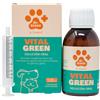 DRASANVI VITALGREEN SOLUZIONE ORALE 120ML DR GREEN