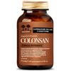 Salugea colonsan formula potenziata 60 capsule - SALUGEA - 975867692