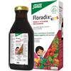 Floradix kids 250 ml - FLORADIX - 981502053