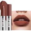 Lestpola Rossetto marrone matte, impermeabile, a lunga durata, effetto vellutato matte, trucco per donne 06