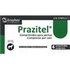 ECUPHAR ITALIA Srl Prazitel Cane 4 compresse