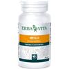 ERBA VITA MIRTILLO 100PRL