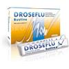 PRINCEPS Srl Droseflu Integratore 10 Bustine 15 ml