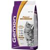 MONGE & C. SpA GEMON ADULT COMPL POLLO/TAC2KG