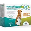 Msd Animal Health YOUACT ENTERO SOS 14 BUSTINE