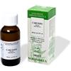Sarandrea Marco CARCIOFO 100ML TINTURA MADRE