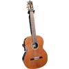 Salvador Cortez Chitarra Classica 4/4 Salvador Cortez CC-50 Cedro Massello Palissandro Cocobolo