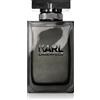 Karl Lagerfeld Karl Lagerfeld for Him 100 ml