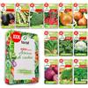 LW TORAF Set di semi XXL12 varietà premium di verdure, 4500 semi orto, Sementi piante, piante giardino, balcone, cucina, melanzane, fave, broccoli, cavolfiori, cavoli, finocchi, cipolle