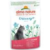 Almo Nature KIT 12x Almo Nature Urinary Help con Salmone - 70 g, 12 pezzi - PREZZO A CONFEZIONE