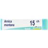 Arnica Laboratoires Boiron BOIRON® Arnica Montana 15Ch Diluizione Hahnemanniana Centesimale In Globuli 1 g