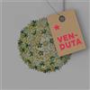 Kartell Bloom Soffitto Menta d.53 cod. 9275 KMO