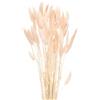 QUARKZMAN 60pz Coda di Coniglio Naturale Fiori Secchi 43cm Mini Erba di Pampa per Decorazioni Floreali Matrimonio Natale, Rosa Chiaro