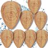 JUXINE Nido di vespe da appendere, 8 pezzi, efficace deterrente per vespe da giardino, patio e aree esterne, esca di carta resistente all'acqua per respingere vespe, calabroni, giacche marroni