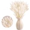 Miss-shop Piccola Erba Secca di Pampa,Coda di Coniglio Essiccata Mazzi di Erba 30 PCS Coda di Coniglio Pampa Erba Secca Naturale Fiore Artificiale per Matrimonio Decorazione D'interni Domestica Giardino Festa