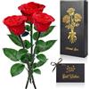 GRIRDDIV Rosa Stabilizzata Regalo Donna, Rosa Eterna con Steli Regalo per Donne Compleanno, Vera Eterna Fiori Rosa Regalo Donna Compleanno Anniversario Per Lei, Mamma, Fidanzata, Vera Rosa Rosso