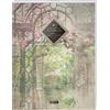 CREATESPACE TULPE Kariertes Notizbuch A4 „C088 Garten Eden" (140+ Seiten, Vintage Softcover, Doppelrand, Seitenzahlen, Register - Dickes Notizheft, Matheheft, ... Schulheft, Tagebuch, Kariertes Heft Nr 26)