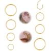 Habselikob Piercing Naso Anello 16G/18G Piercing Orecchio Acciaio Chirurgico Cerchio Clicker Helix Septum Conch Daith Trago Nostril Piercing 6mm/8mm/10mm/12mm