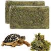 QINGYIWL 800g Muschio per Terrario, Muschio Vivo, Sfagno per Piante, Terrari per Rettili e Anfibi