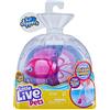 Little Live Pets Lil' Dippers Single Pack, Lil' Dippers with Wow-Effect when Unpacking in Water and Interactive Feeding