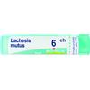 BOIRON LACHESIS MUTUS 6CH GRANULI