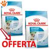 Royal Canin Dog SHN Mini Starter Mother & Babydog - Offerta [PREZZO A CONFEZIONE] Quantità Minima 2, Sacco Da 8 Kg