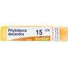 Boiron Phytolacca Decandra*15Ch 80Gr 4 g Granuli