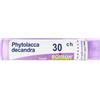 Phytolacca DE BOI BOIRON® Phytolacca Decandra 30 Ch Contenitore Multidose 4 g Granuli