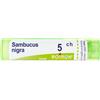 Sambucus NIG BOI BOIRON® Sambucus Nigra 5 Ch Granuli Contenitore Multidose 4 g