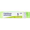 Boiron Colchicum Autumnale*5Ch 80Gr 4 g Granuli