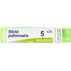 Sticta Pulmonaria*5Ch 80Gr 4G 4 g Granuli