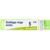 Solidago Virga Aurea 5Ch Gr 4 g Granuli