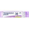 Boiron Harpagophytum Procum 30Ch Granuli