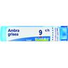 Boiron AMBRA GRISEA 9 CH GRANULI 4G
