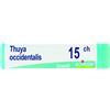 Boiron THUYA OCCIDENTALIS 15 CH GLOBULI 1G