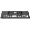 Korg PA300 Tastiera Arranger Professionale 61 Tasti NUOVO articolo dal Giappone