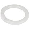 Aigostar Circolina fluorescente G10Q T9 21cm da 22W in vetro Bianco freddo 6500K Aigostar