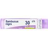 Sambucus Nigra*30Ch 80Gr 4G 4 g Granuli