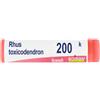 BOIRON® Rhus Toxicodendron Granuli 200 K Contenitore Monodose 1 g Globuli
