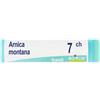 Boiron Arnica Montana 7Ch Diluizione Hahnemanniana Centesimale In Globuli