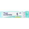 Thuya BOIRON® Thuya Occident 6Ch Granuli 1 pz