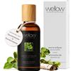 Wellow Sauna Wellow Infuso da sauna Betulla siberiana 100 ml Concentrato