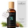 Wellow Sauna Wellow Infuso da sauna Aghi di abete 100 ml Concentrato