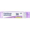 Colchicum AUT BOI Colchicum Autumnale*30Ch 80Gr 4 g Granuli