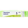 Teucrium MAR BOI Teucrium Marum*5Ch 80Gr 4G 4 g Granuli