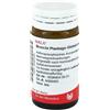 Wala Italia Wala Bronchi Plantago 20g