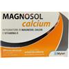 Magnosol Calcium Integratore Magnesio Calcio E Vitamina D 20 Bustine