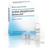 Heel Guna Heel Acidum Phosphoricum- Homaccord 10 Fiale